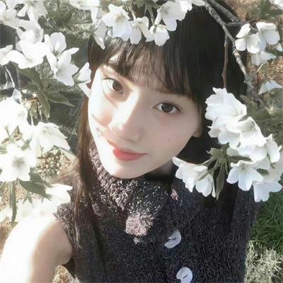 我的修真靠抽卡第二季
